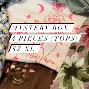 Womens 4 pieces mystery box of tops sz XL